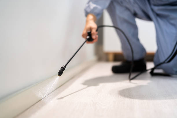 Licensed Termite Control service in Alleghany County County, VA - Nex Pest Control